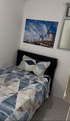 Emerald Park (D3), Condominium #496170301